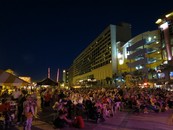 Friends of the Bandshell